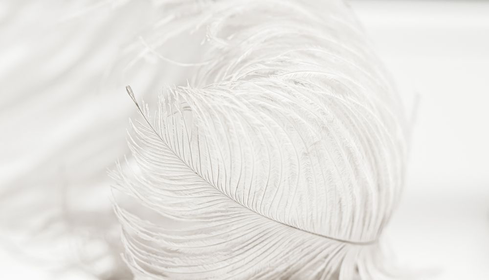 Photograph by Jelena Murina