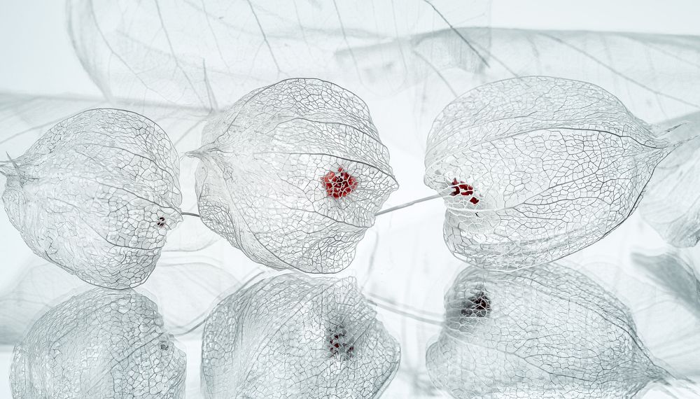 Photograph by Jelena Murina