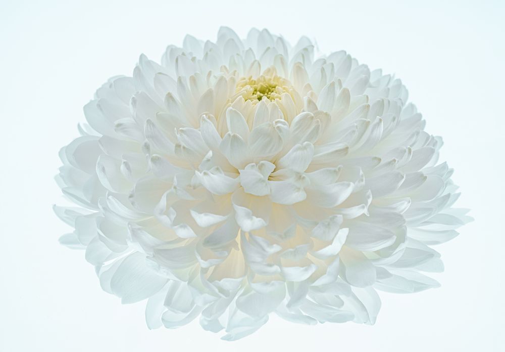 Photograph by Jelena Murina