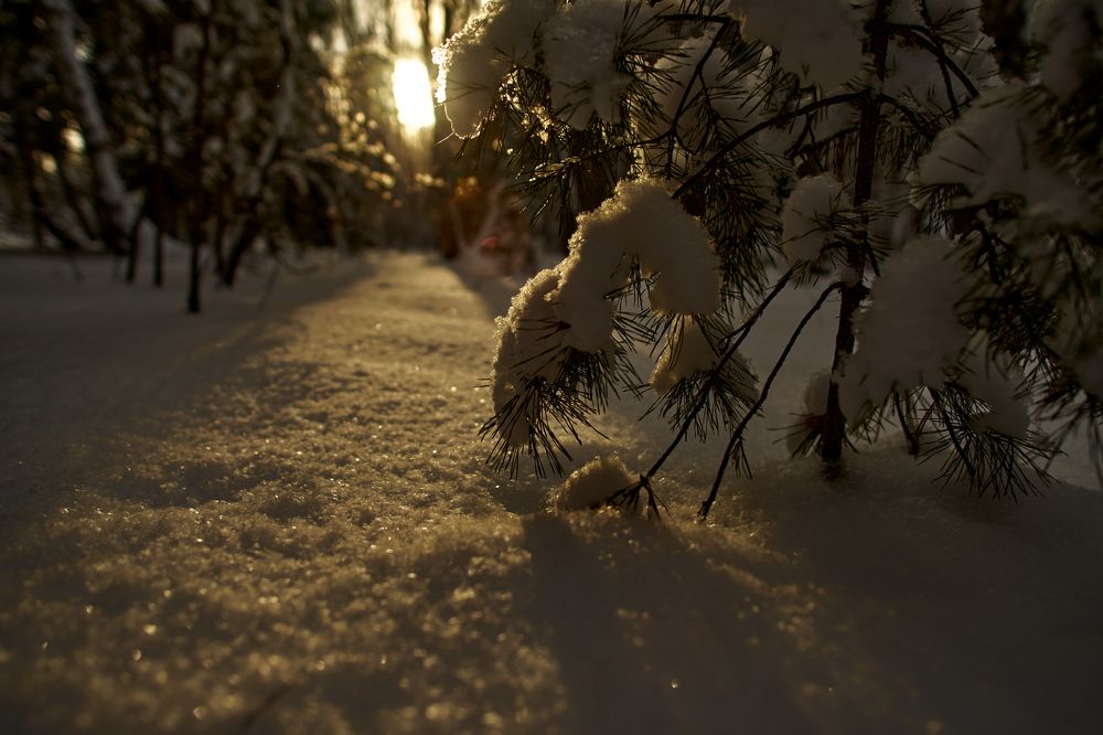 Фотография автора Игорь Игоревич