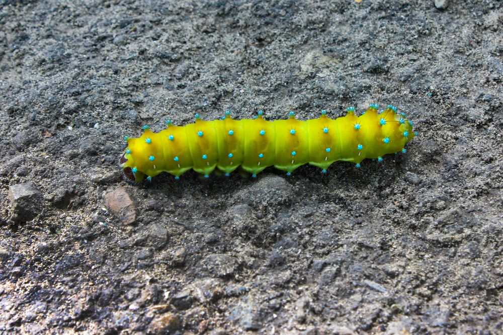 Фотография автора Татьяна Сергиенко