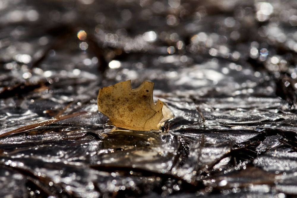 Photograph by Игорь Игоревич