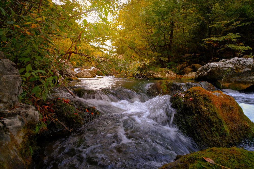 Фотография автора Виктор Долматов