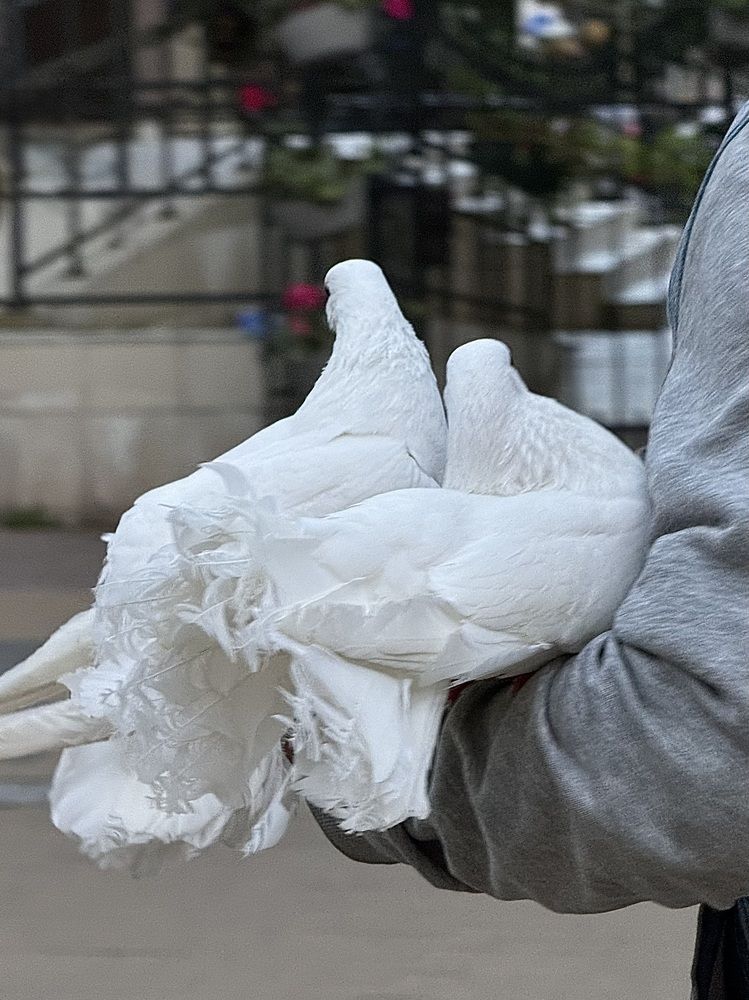 Photograph by Zhanna Kolesnikova