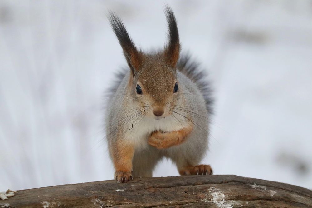 Photograph by Мария Глухова