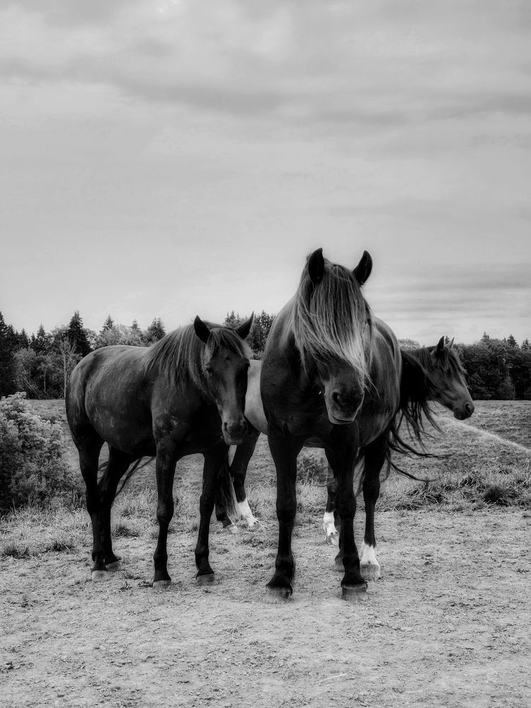 Фотография автора Alina Filimonova