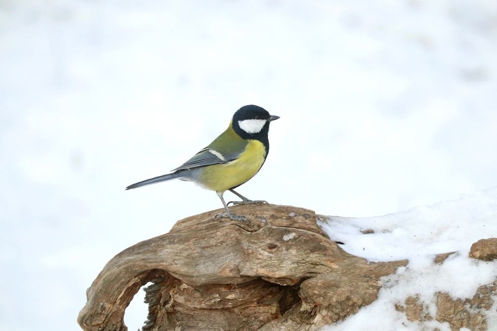 Photograph by Мария Глухова