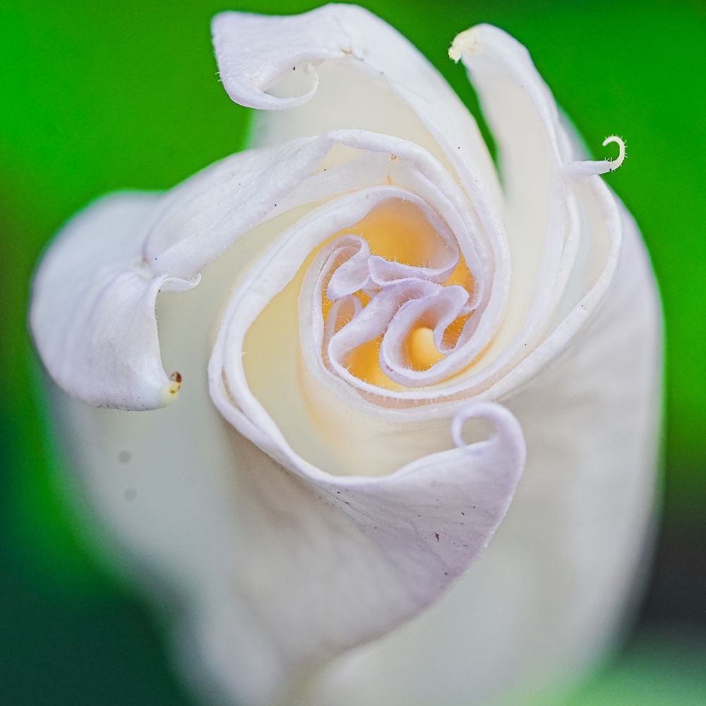 Photograph by kamran shirani