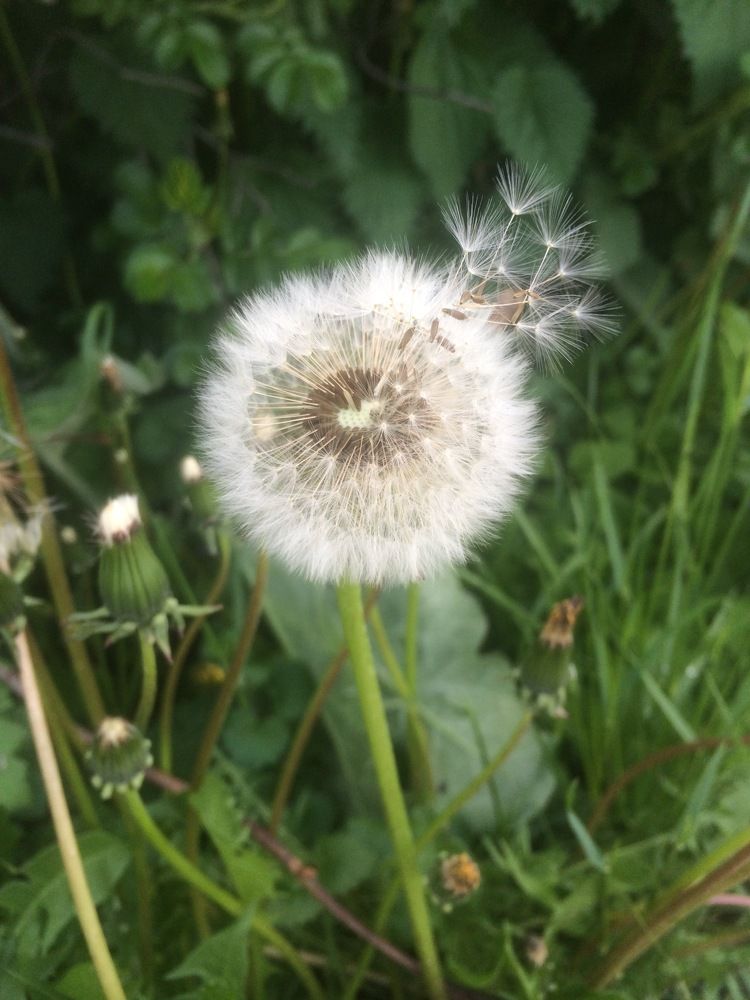 Photograph by Ирина Швейнова