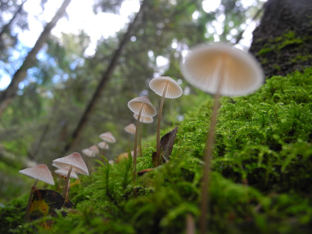 Photograph by Андрей Головин