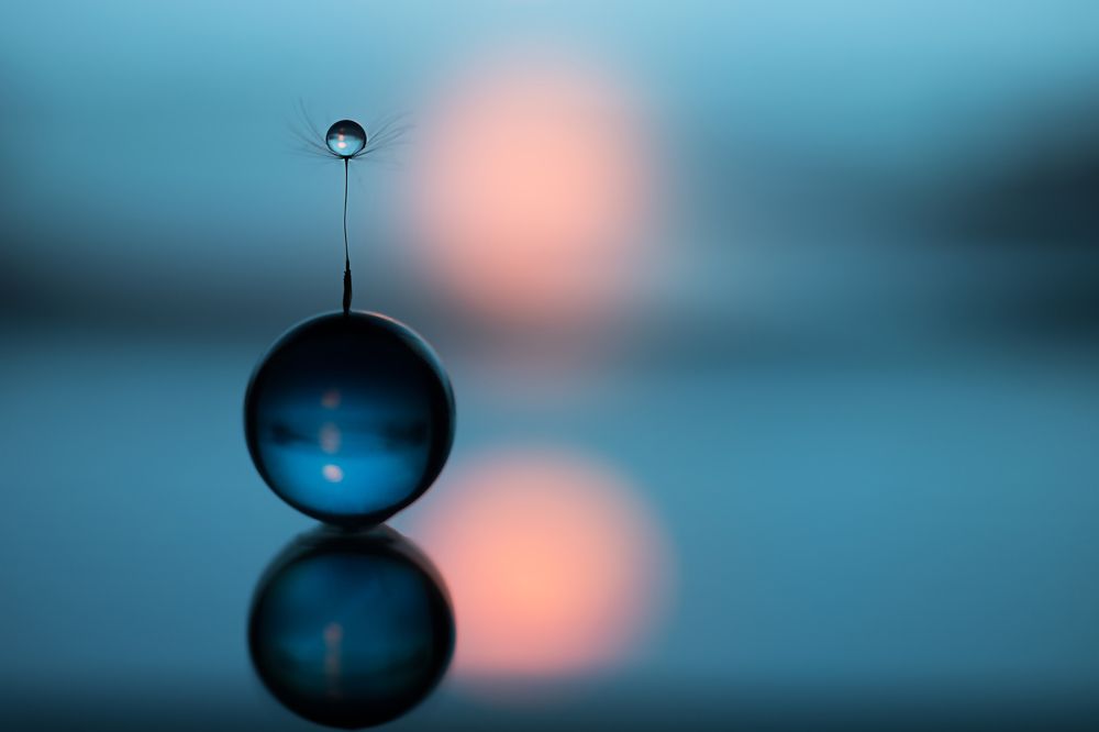 Photograph by Обидина Мария