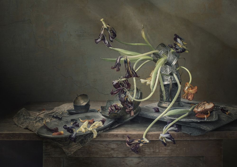 Фотография автора Шипунова Ирина