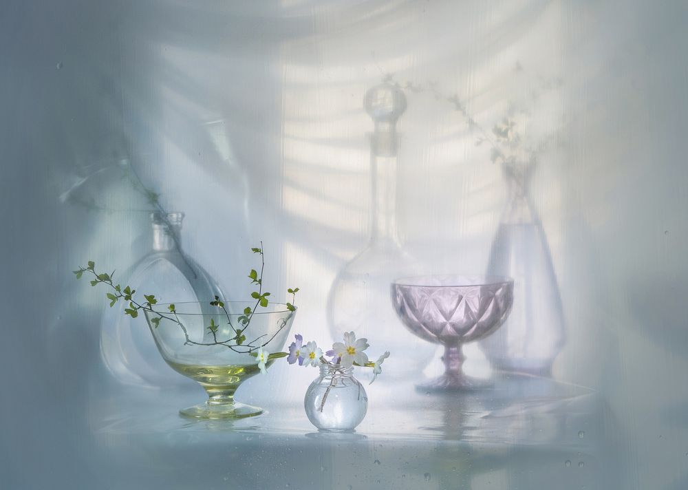 Фотография автора Шипунова Ирина