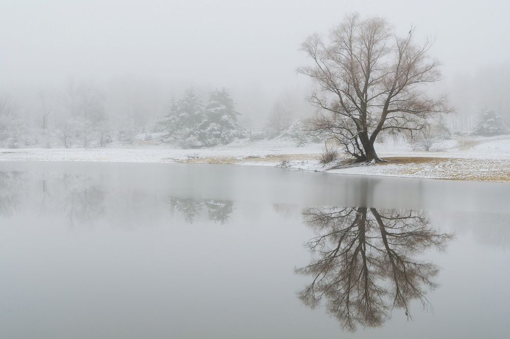 Фотография автора Валерий Лушин