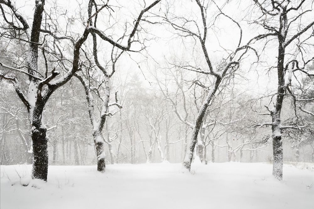 Фотография автора Валерий Лушин