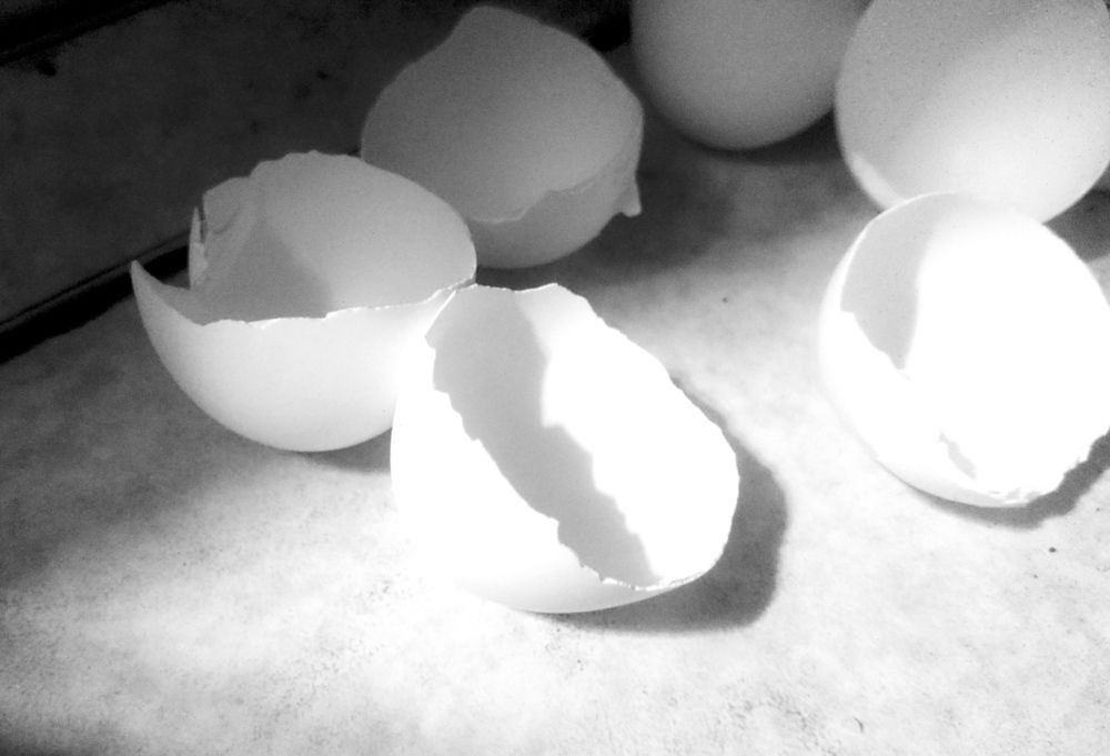 Photograph by Лена Максимкина