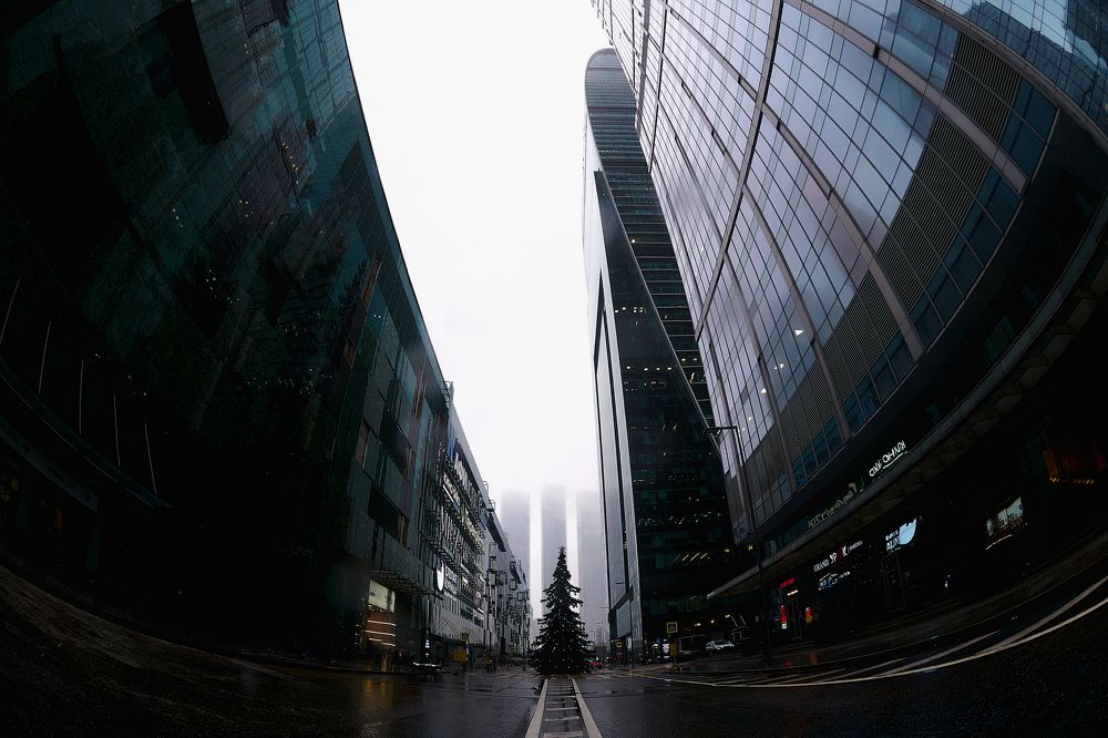 Фотография автора Александр Жданов