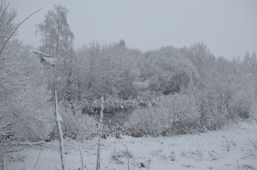 Фотография автора Ольга Беликова