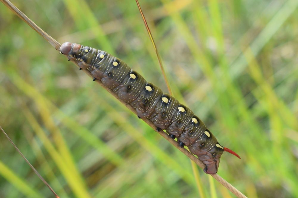 Photograph by Андрей Головин