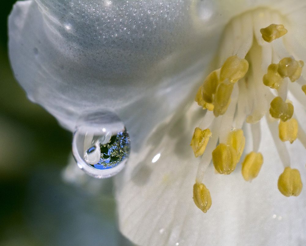 Фотография автора Борис Журавлёв