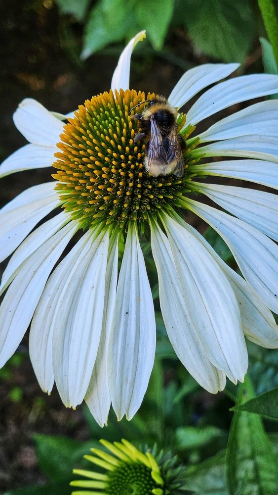 Photograph by Оксана Новикова