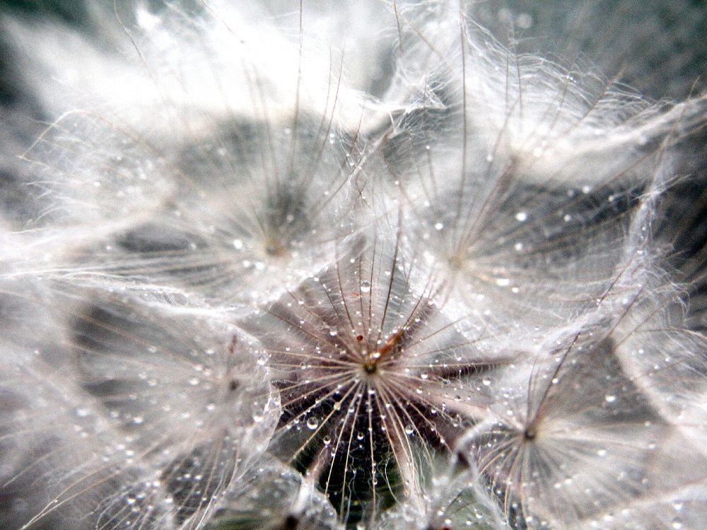 Photograph by Алексей Коношонкин