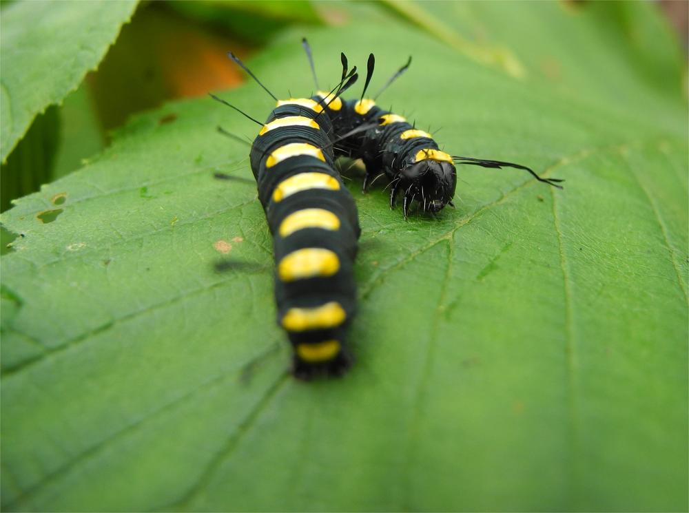 Photograph by Андрей Головин