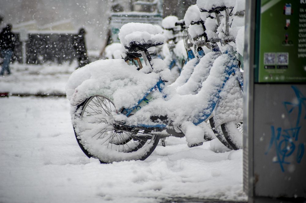 Photograph by DAMOUN POURNEMATI