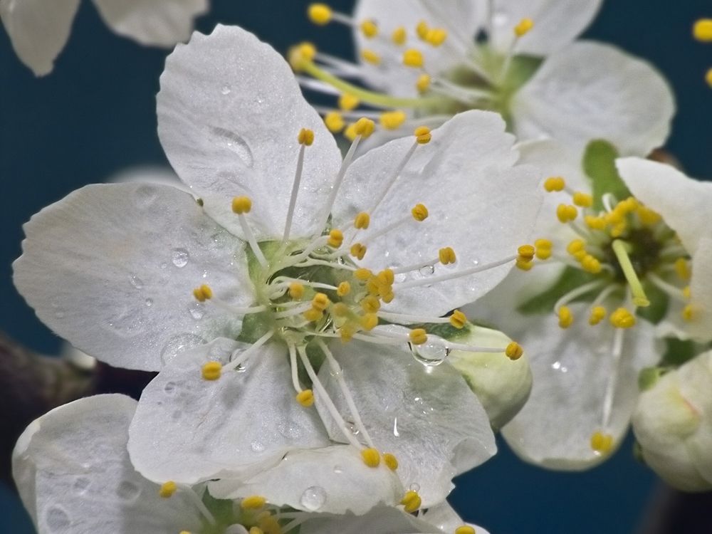 Фотография автора Борис Журавлёв