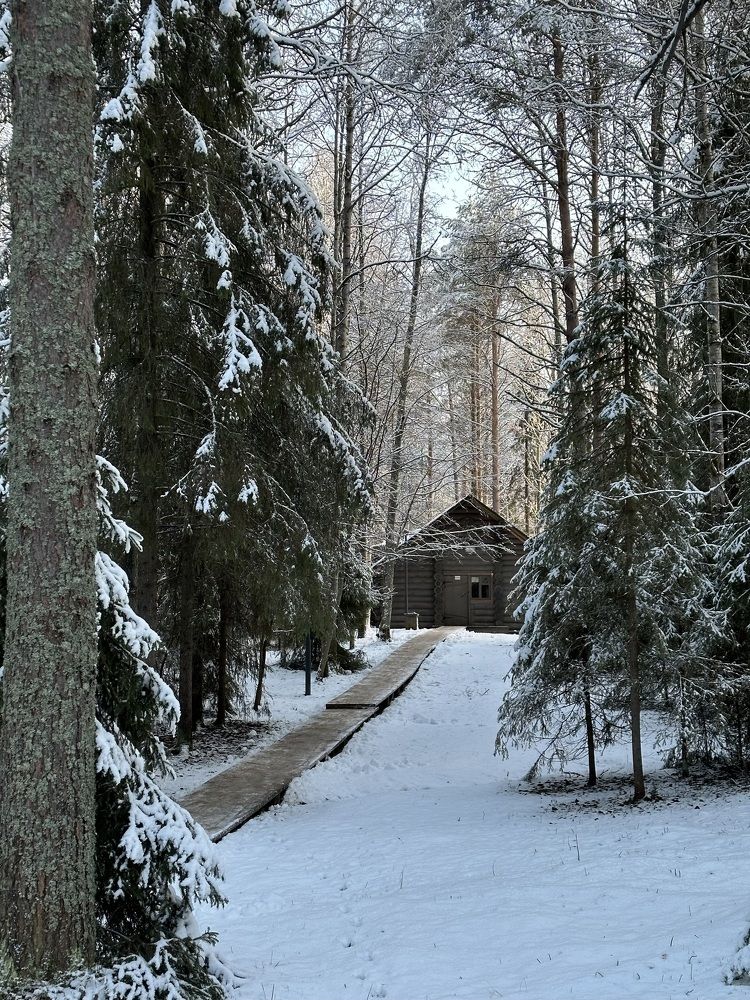 Photograph by Ольга Байгажакова