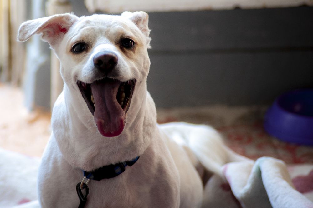 Photograph by DAMOUN POURNEMATI