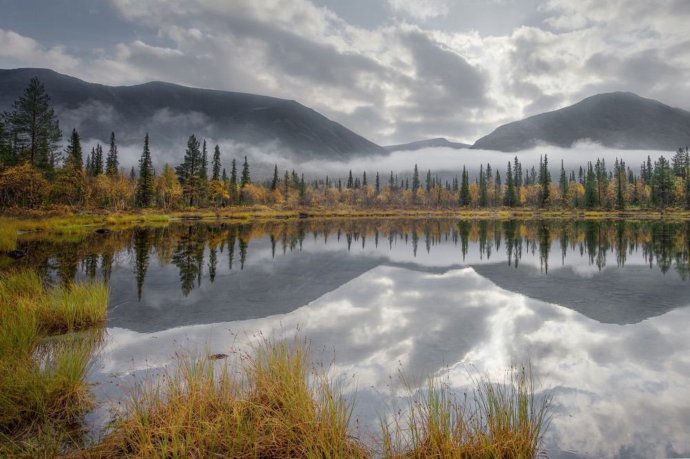 Фотография автора Ольга Белоусова