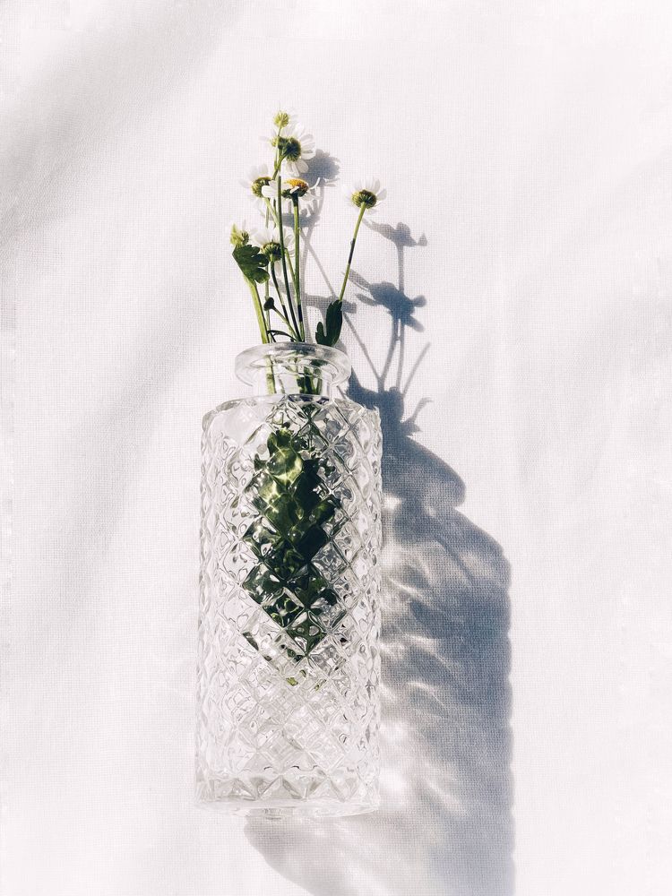 Photograph by Анастасия Германова