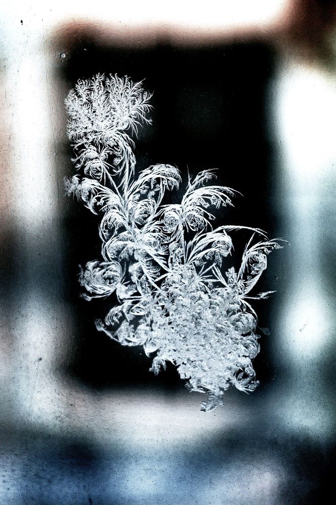 Photograph by Елена Ласун