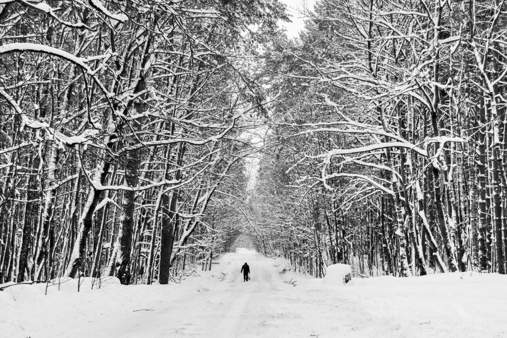 Photograph by Екатерина Краснобокая