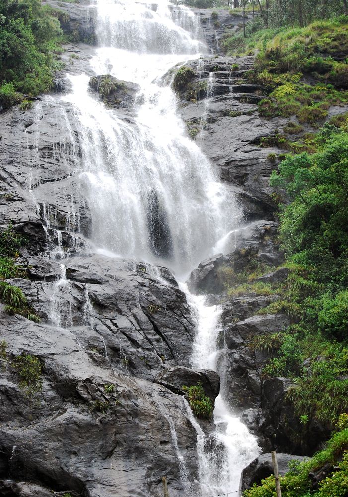 Фотография автора Sajeev Krishnan