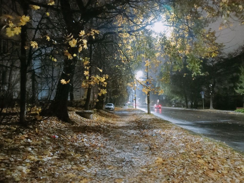 Photograph by Александр Гришин