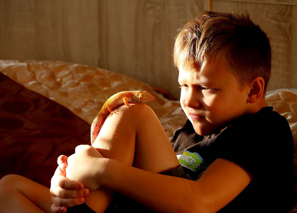 Photograph by Татьяна Слесарева