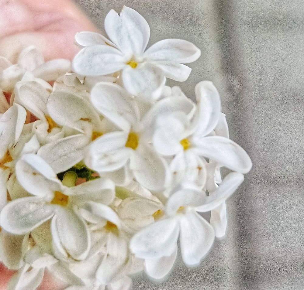 Фотография автора Оксана Радзиевская