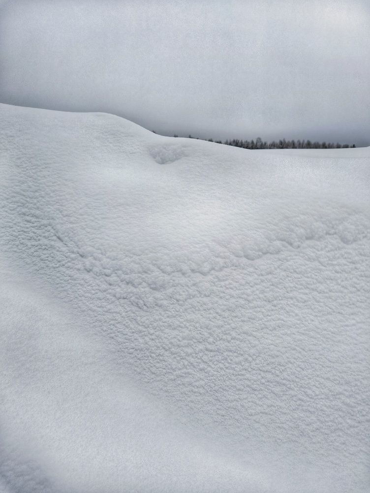 Фотография автора Оксана Радзиевская