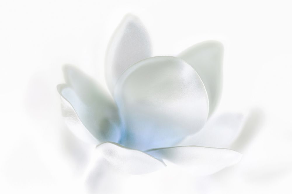 Photograph by Guanhua Yao