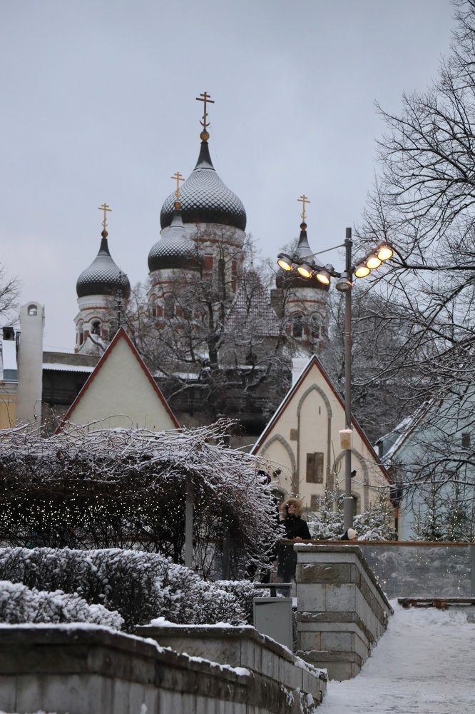 Photograph by Елена Шавшина