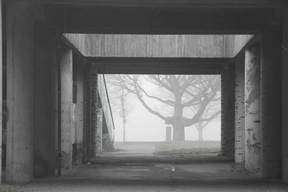 Photograph by Елена Шавшина