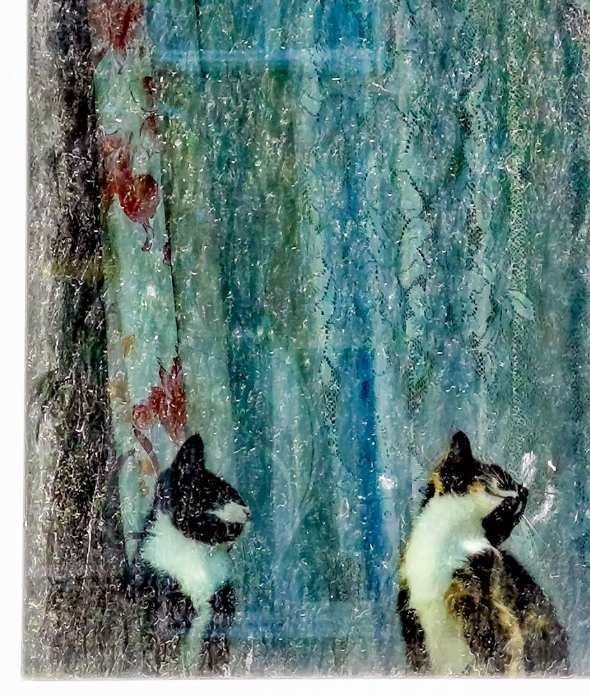 Photograph by Переверзева Татьяна