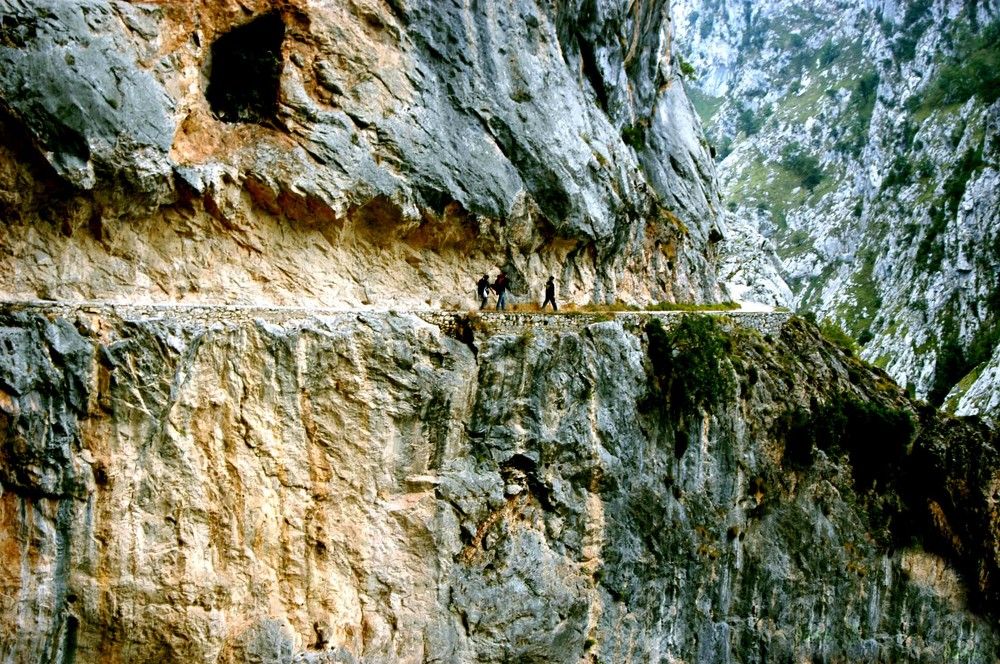 Photograph by JOSE LIMA RODRIGUES