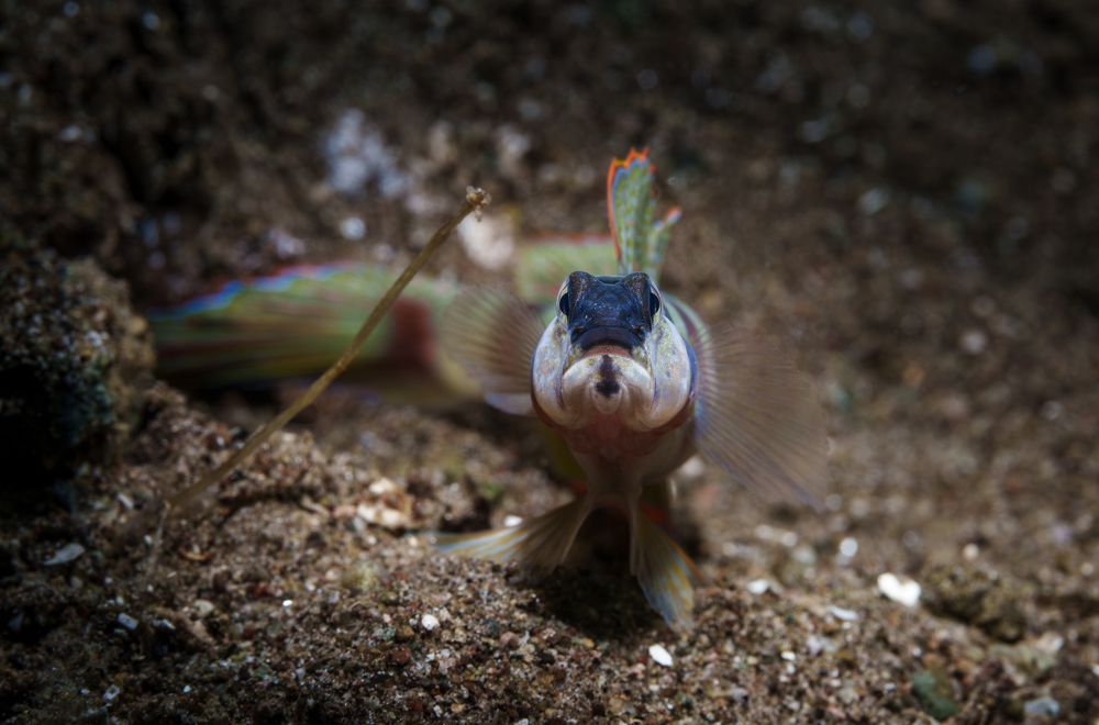 Photograph by Савин Андрей