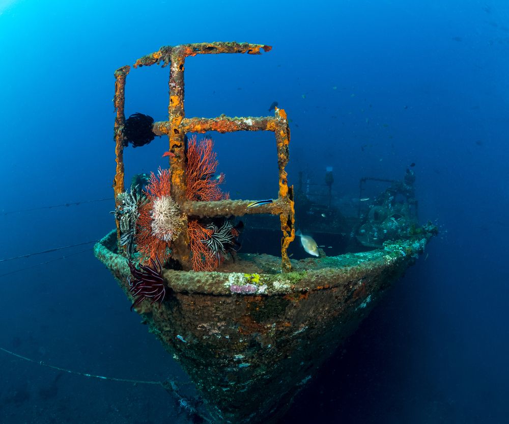 Photograph by Савин Андрей