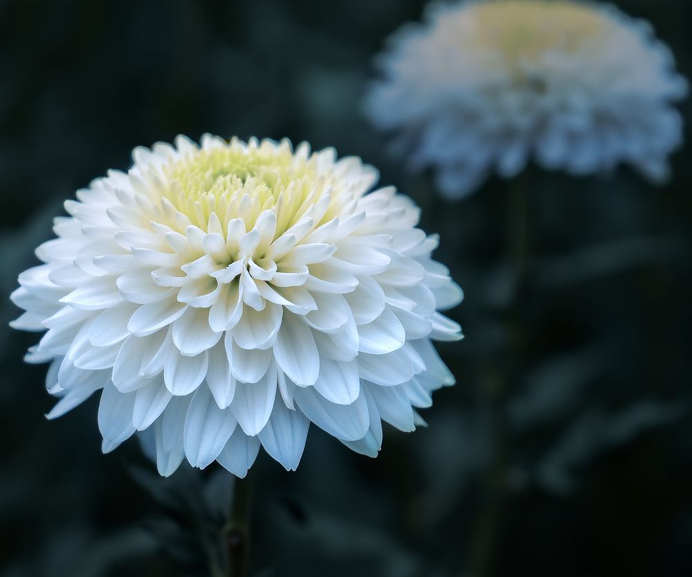 Photograph by Margoth Toro