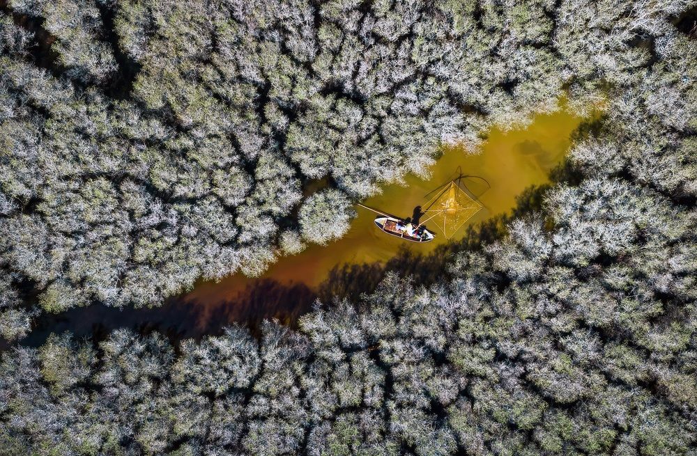 Photograph by Cao Alex