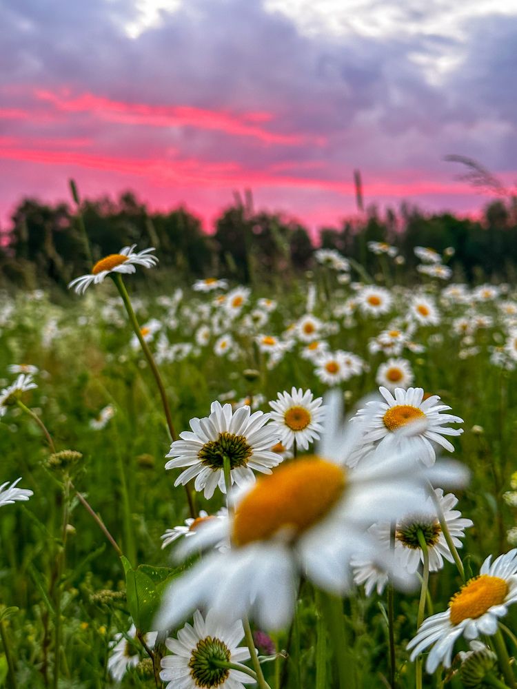 Photograph by Яна Лугинина